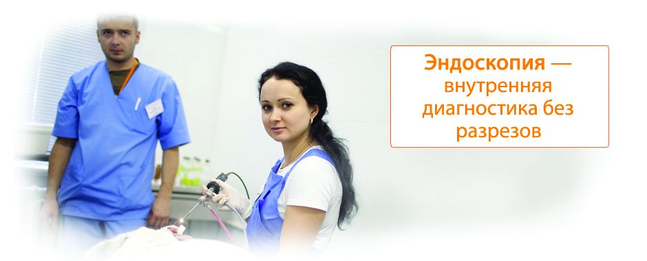 Эндоскопия - цифровая диагностика без разрезов