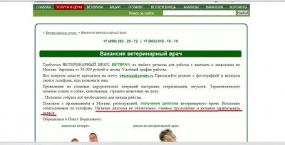 Скрин Пес и кот