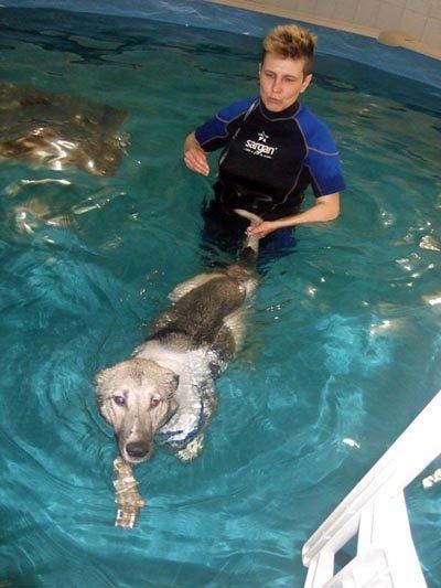 В бассейне