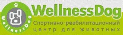Логотип