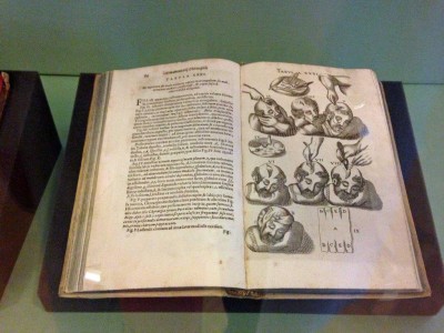 книга 16 века на странице - методы вскрытия черепной коробки