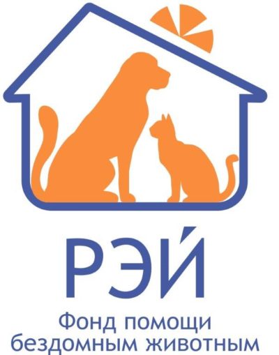 RAY logo Ru