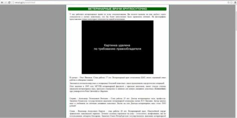 Ветврачи