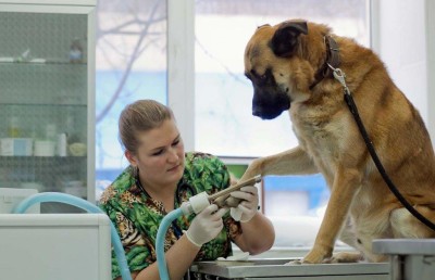 Криодеструкция