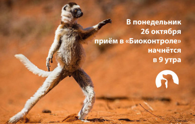 Объявление