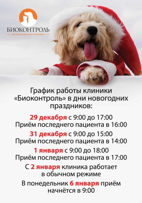 Часы работы