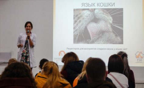 Лекция