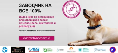 Веткурс