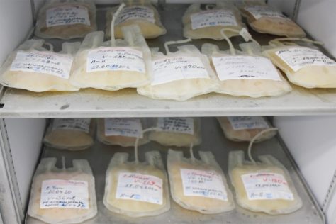 Кровепродукты