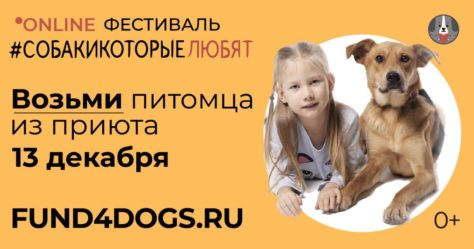 Предновогодний благотворительный онлайн-фестиваль "Собаки, которые любят"