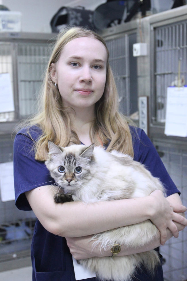 Мезенцева Елена Олеговна Мезенцева Елена Олеговна