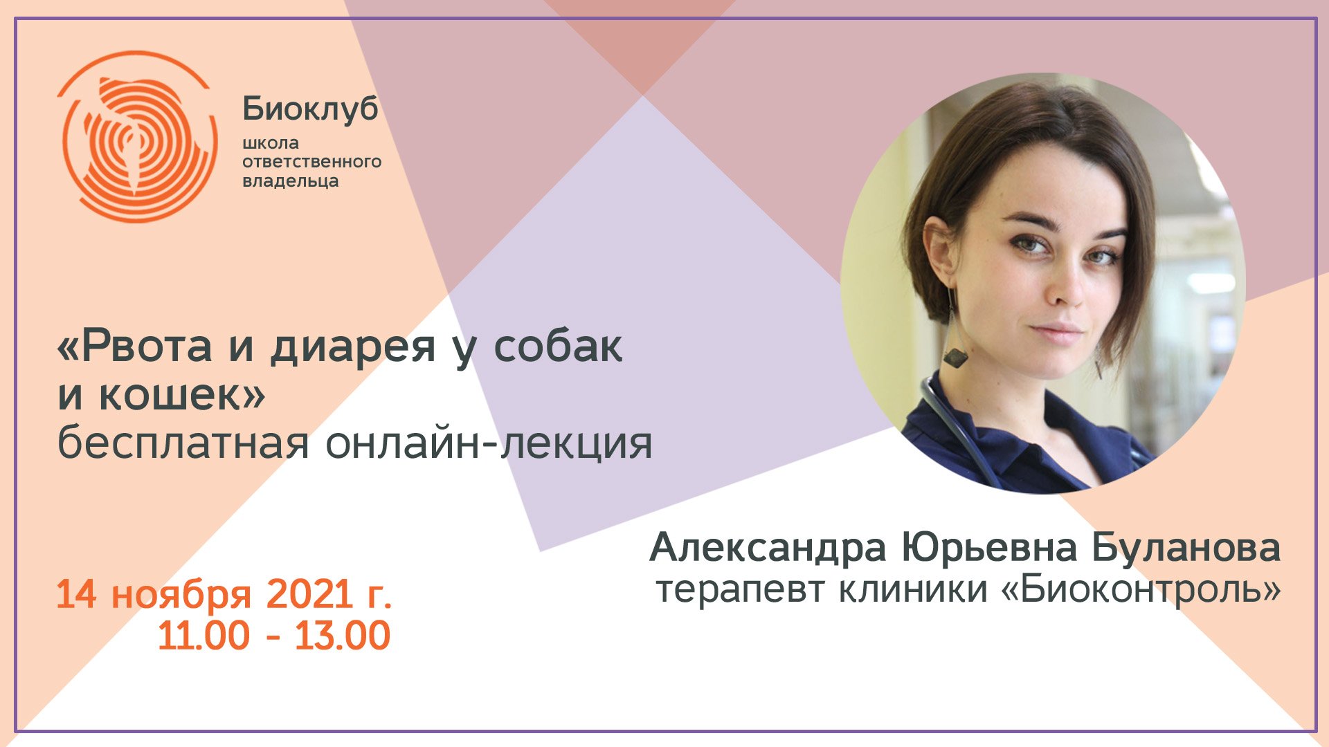 Рвота и диарея у собак и кошек