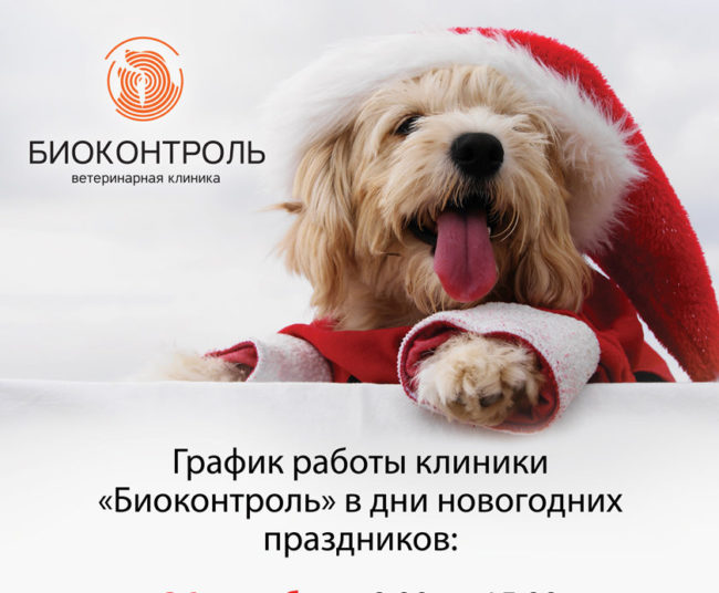 Картинка График работы клиники в дни новогодних праздников