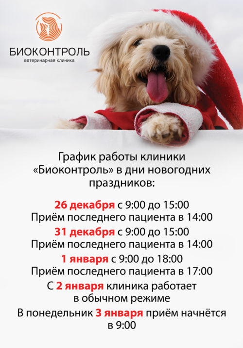 График работы клиники в дни новогодних праздников