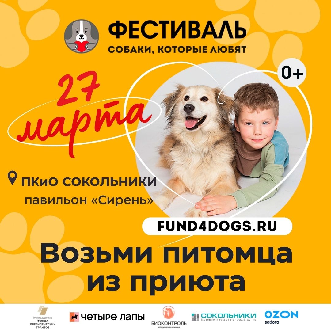 Собаки, которые любят