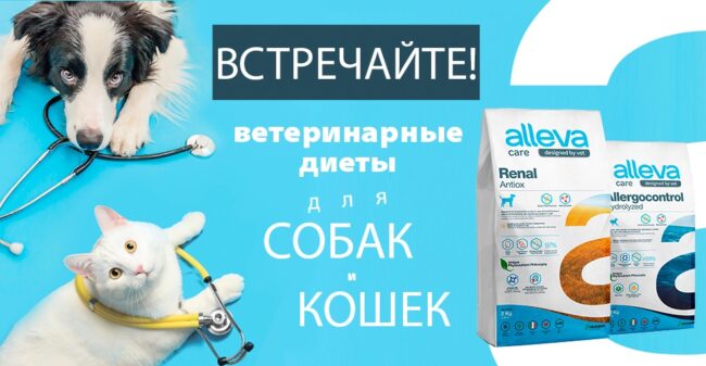 Изображение WhatsApp 2025-06-20 в 13.15.08_c62990f6