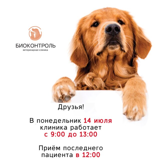 2000х2000px_bio_time_2