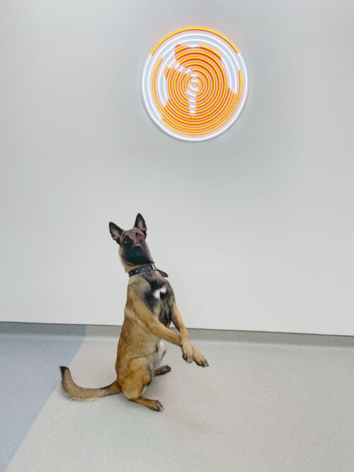 Здоровы будем