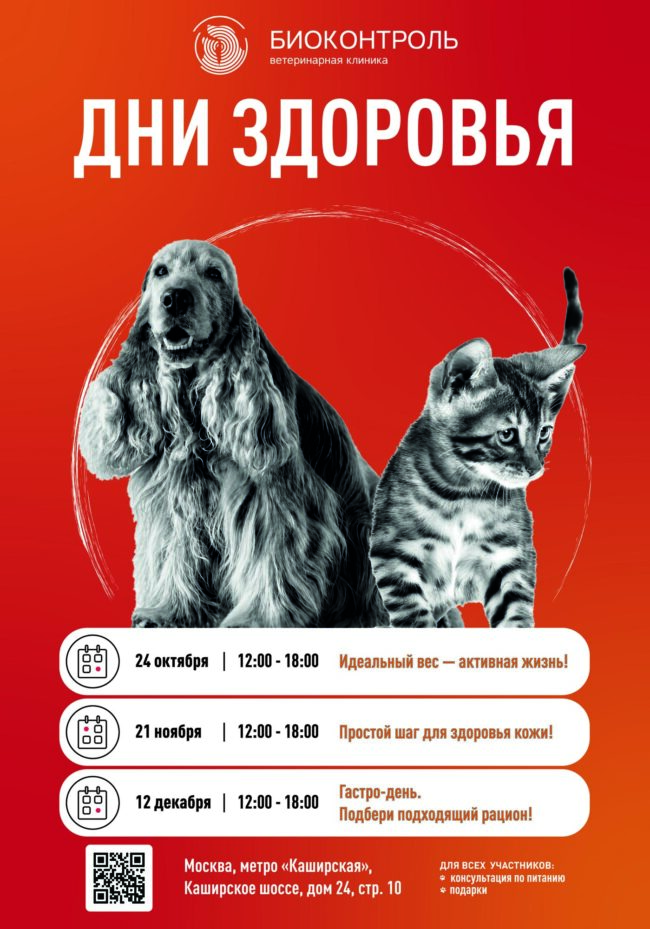 плакат_1000мм_x_700мм